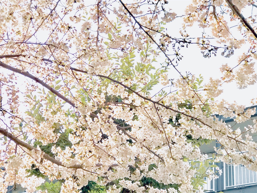 f:id:halynsmak:20180330150707j:plain f:id:halynsmak:20180330150707j:plain