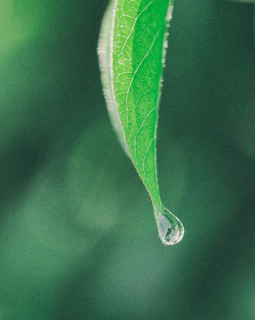 f:id:ham0428:20190908095649j:image