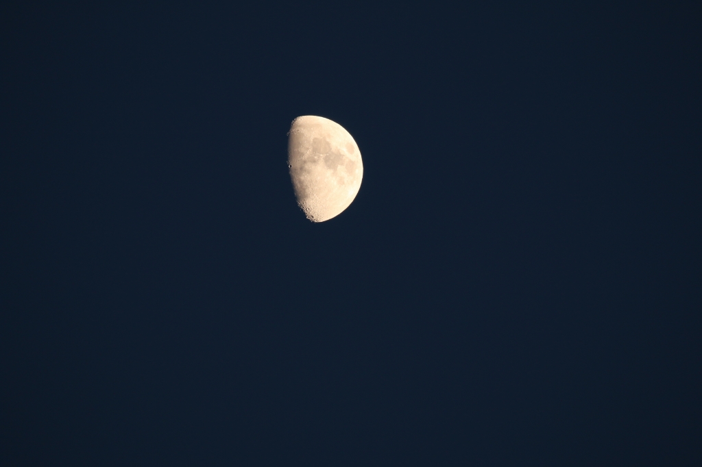 f:id:ham29:20151223140313j:plain