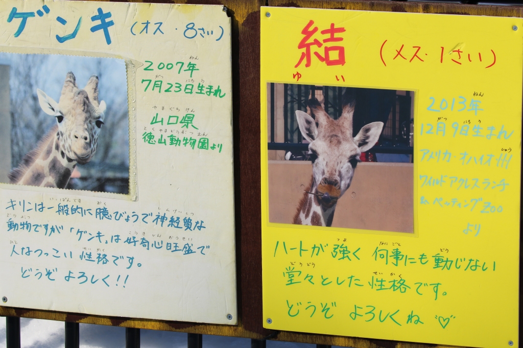 f:id:ham29:20160111225914j:plain