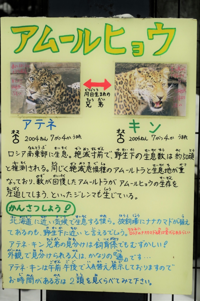 f:id:ham29:20160117124239j:plain