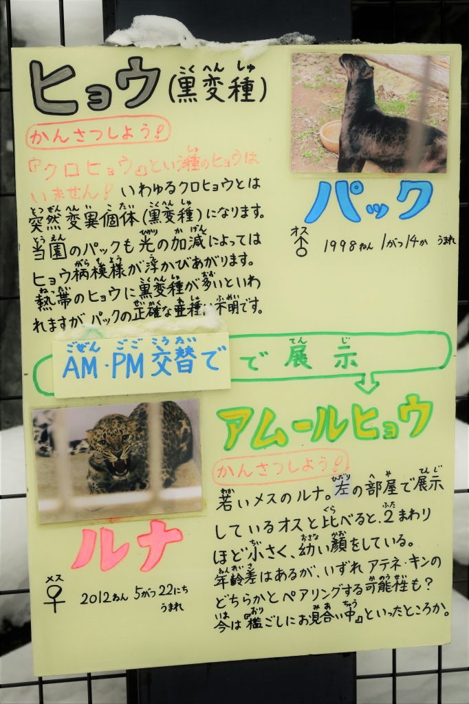 f:id:ham29:20160117124246j:plain