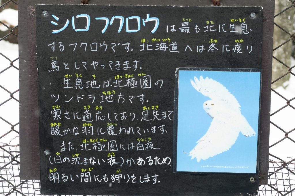 f:id:ham29:20160121231553j:plain