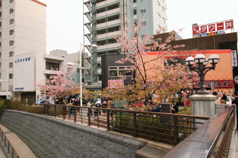 f:id:ham29:20160313231340j:plain