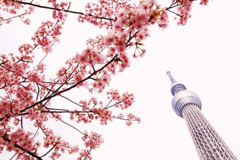 f:id:ham29:20160313231342j:plain