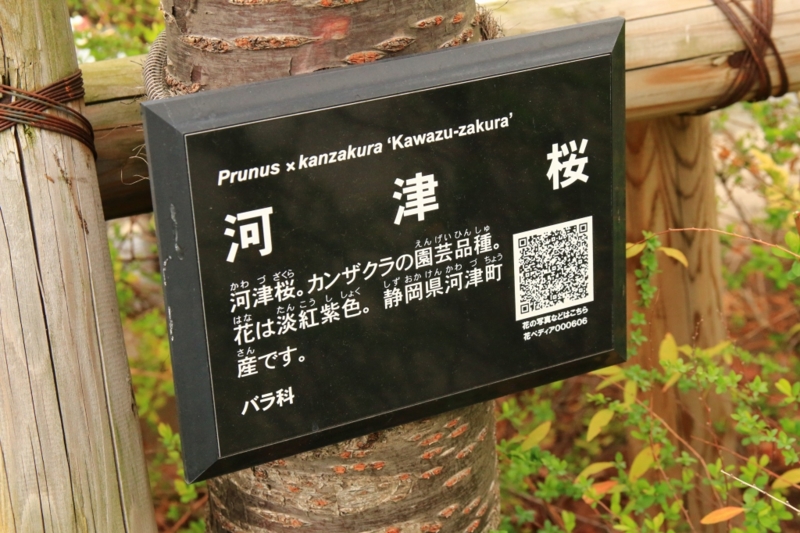 f:id:ham29:20160313231346j:plain