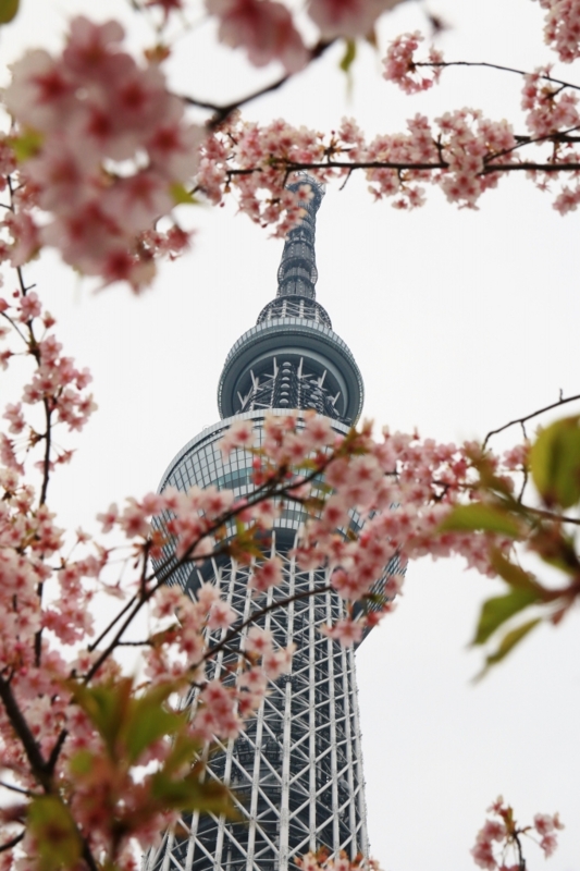 f:id:ham29:20160313231347j:plain