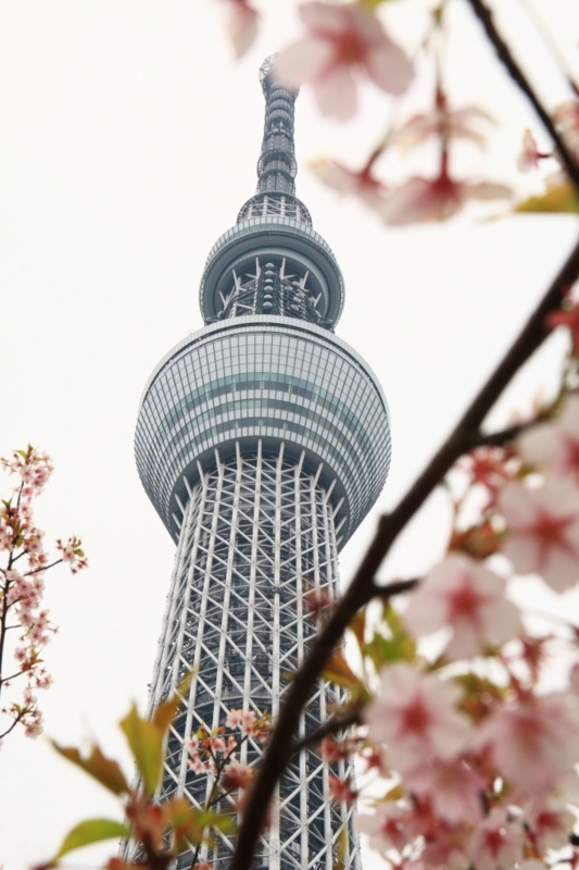 f:id:ham29:20160313231349j:plain