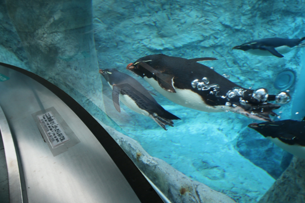 f:id:ham29:20160710151802j:plain