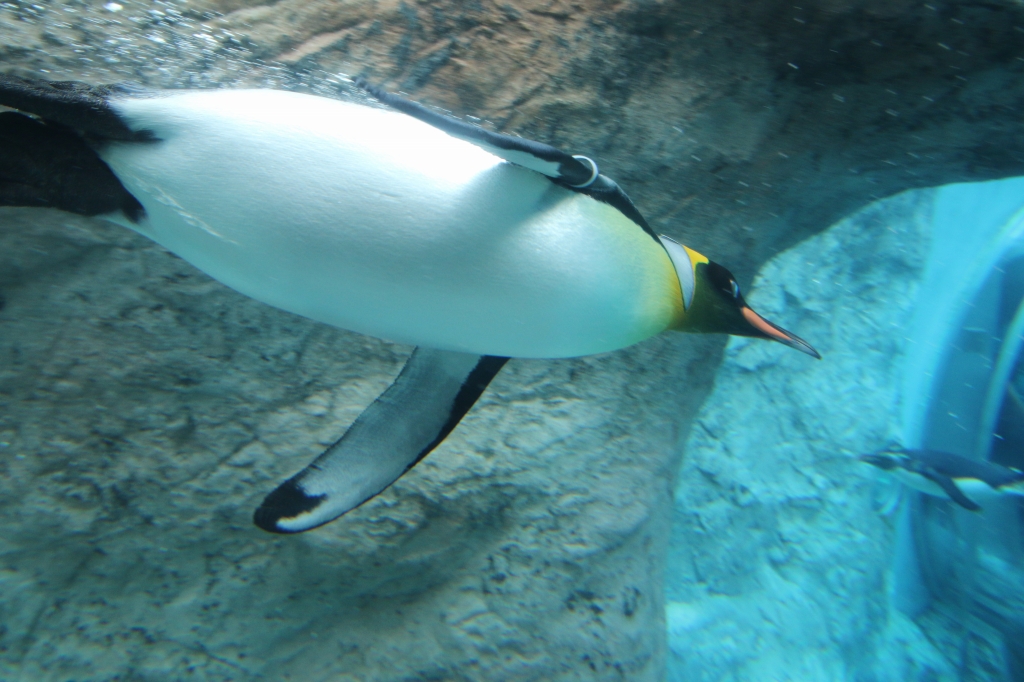 f:id:ham29:20160710151825j:plain