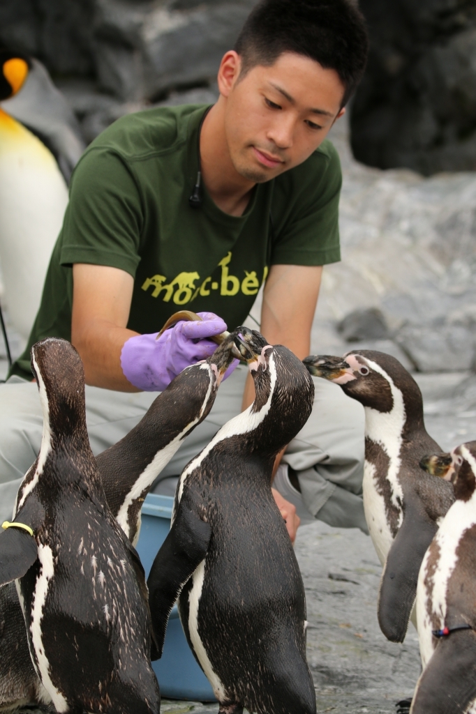 f:id:ham29:20160710151914j:plain