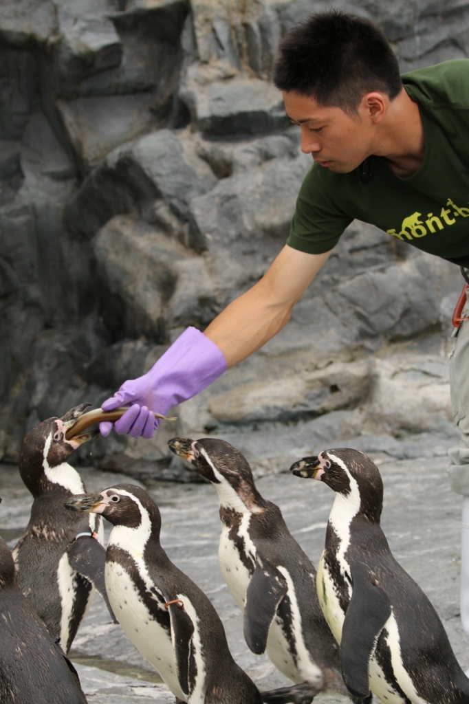 f:id:ham29:20160710151921j:plain