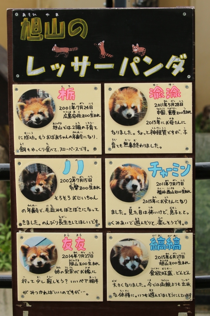 f:id:ham29:20160710225529j:plain
