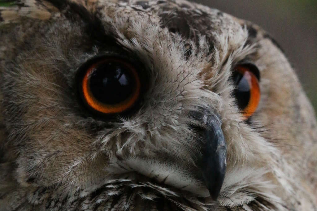 f:id:ham29:20160717143824j:plain