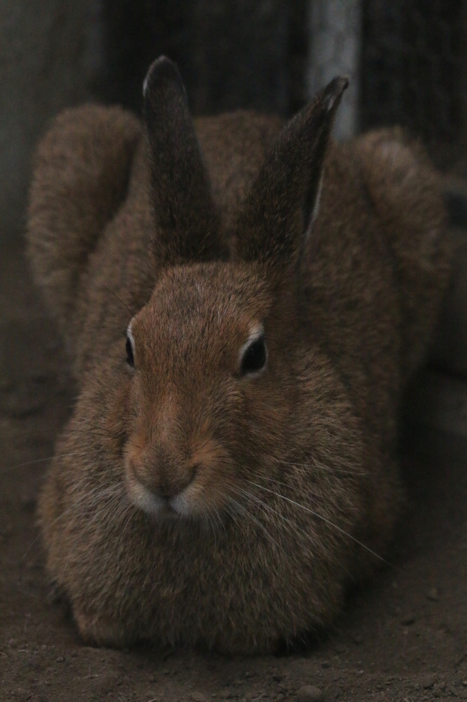 f:id:ham29:20160717143916j:plain