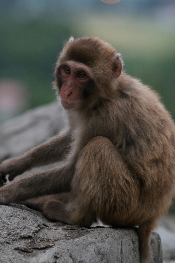 f:id:ham29:20160717222849j:plain