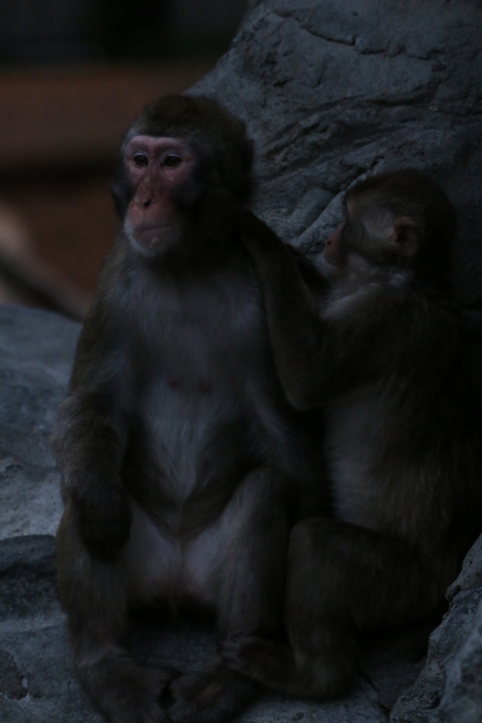 f:id:ham29:20160717222858j:plain