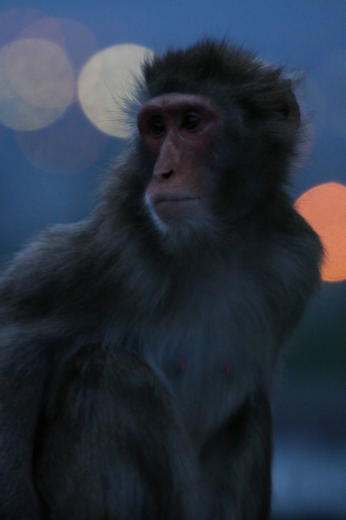 f:id:ham29:20160717222924j:plain