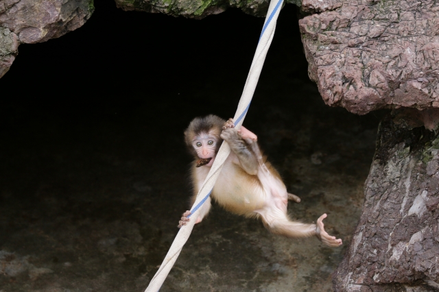 f:id:ham29:20160930184822j:plain f:id:ham29:20160930184822j:plain