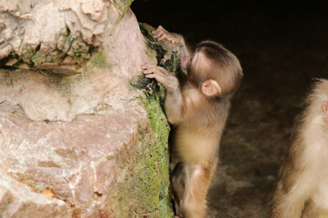 f:id:ham29:20160930184827j:plain f:id:ham29:20160930184827j:plain