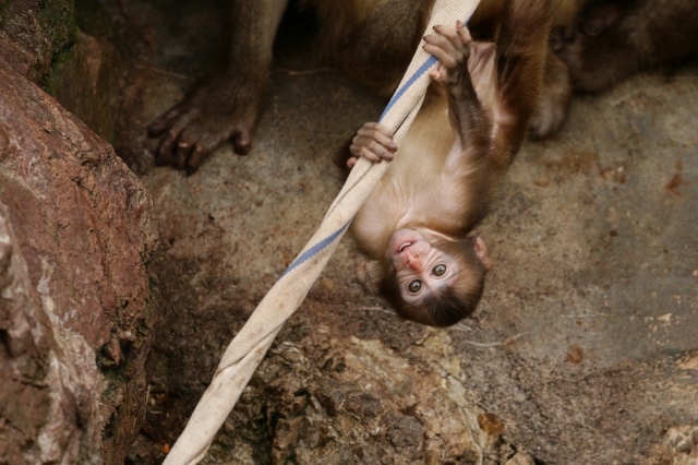 f:id:ham29:20160930184829j:plain f:id:ham29:20160930184829j:plain