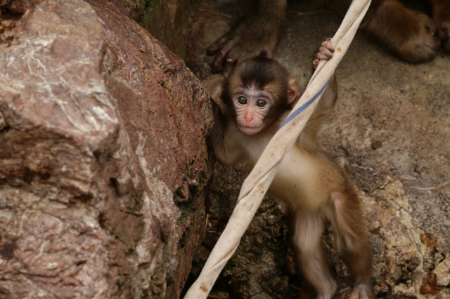 f:id:ham29:20160930184831j:plain f:id:ham29:20160930184831j:plain