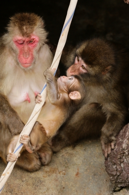 f:id:ham29:20160930184833j:plain f:id:ham29:20160930184833j:plain