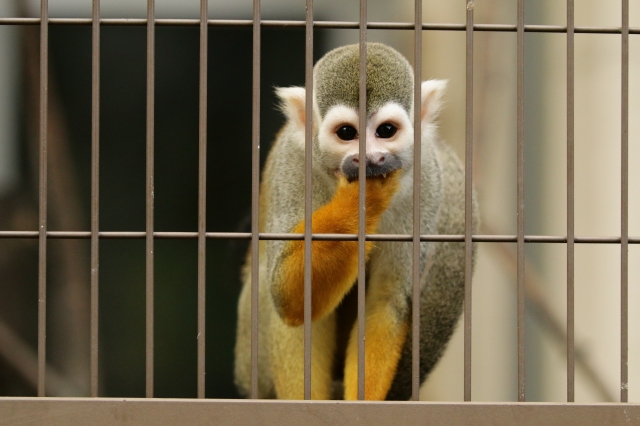 f:id:ham29:20160930185054j:plain f:id:ham29:20160930185054j:plain