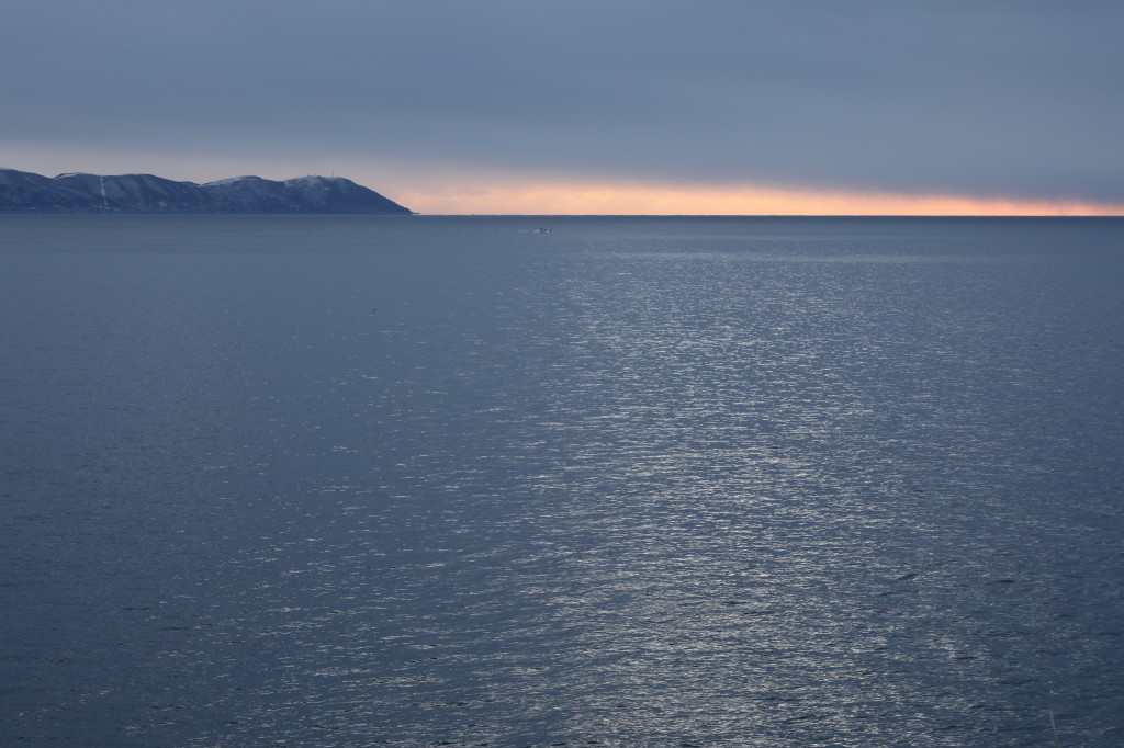 f:id:ham29:20170217185834j:plain f:id:ham29:20170217185834j:plain