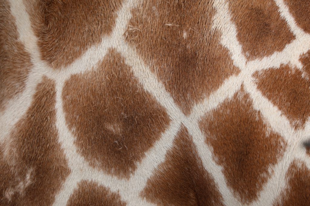 f:id:ham29:20170627163037j:plain