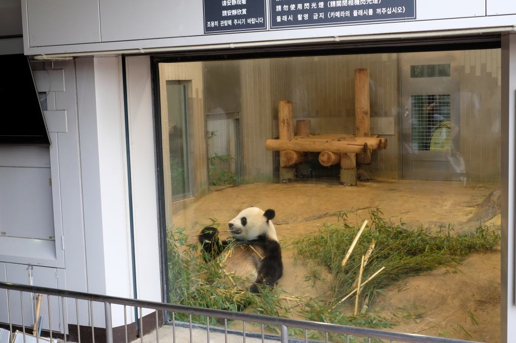 f:id:ham29:20170910033126j:plain