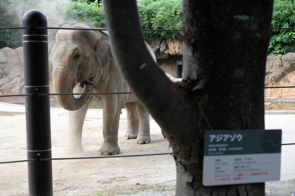 f:id:ham29:20170910033130j:plain