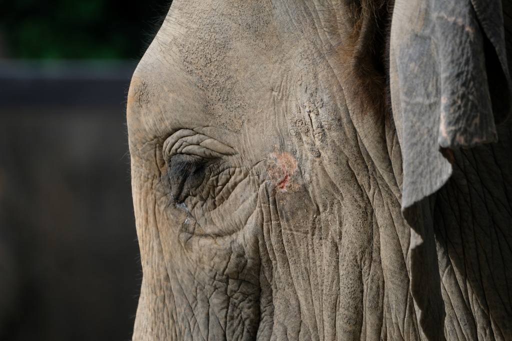 f:id:ham29:20170910033134j:plain