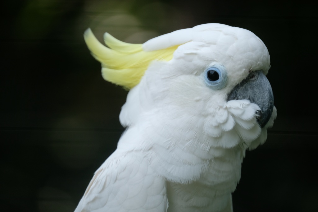 f:id:ham29:20170910033201j:plain