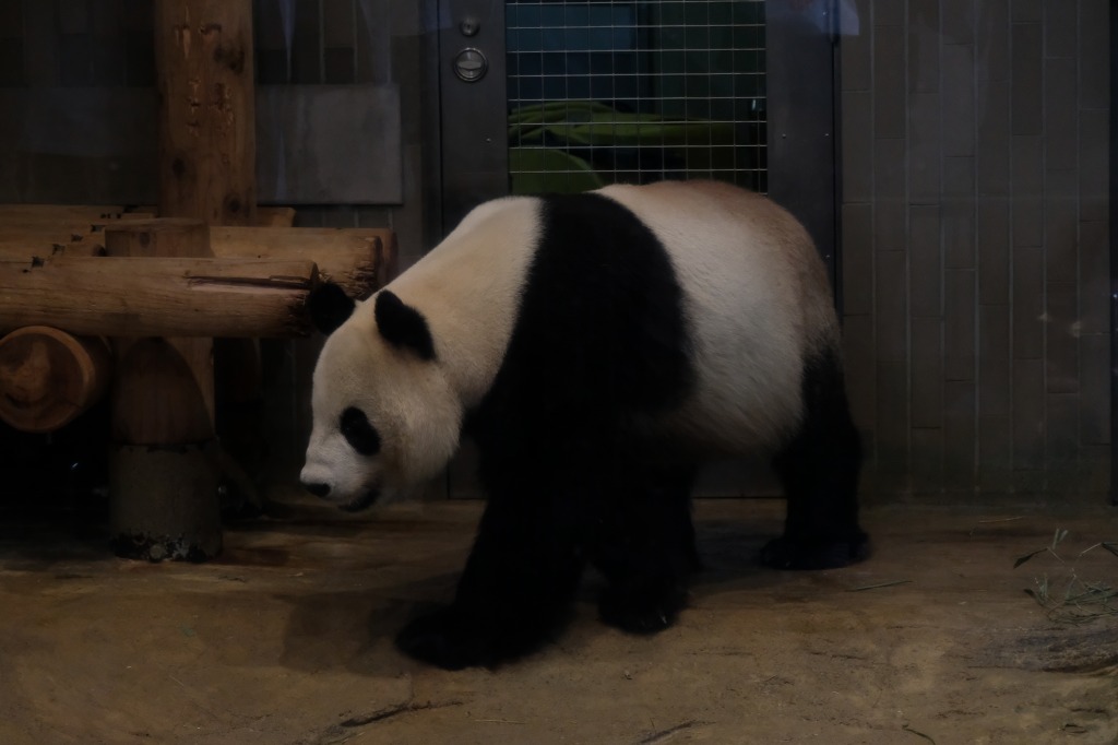 f:id:ham29:20170910033213j:plain