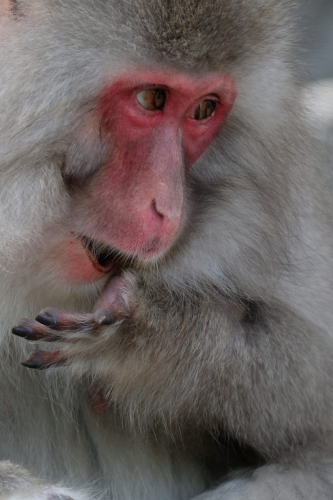 f:id:ham29:20170910033229j:plain