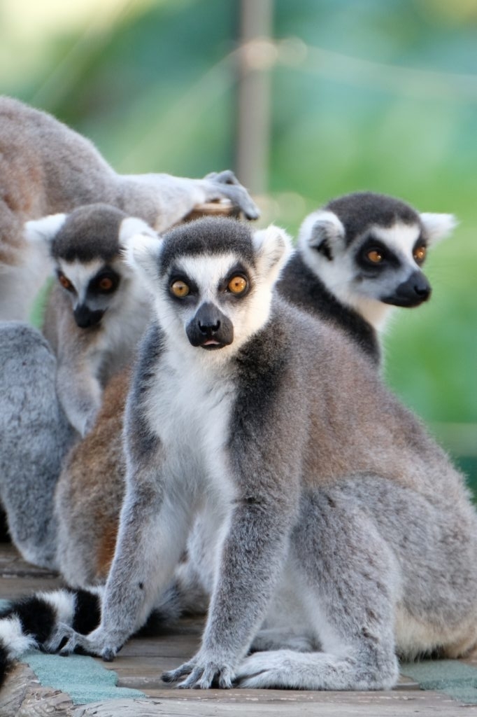 f:id:ham29:20170910033308j:plain