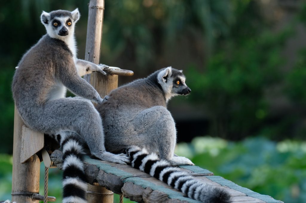 f:id:ham29:20170910033312j:plain