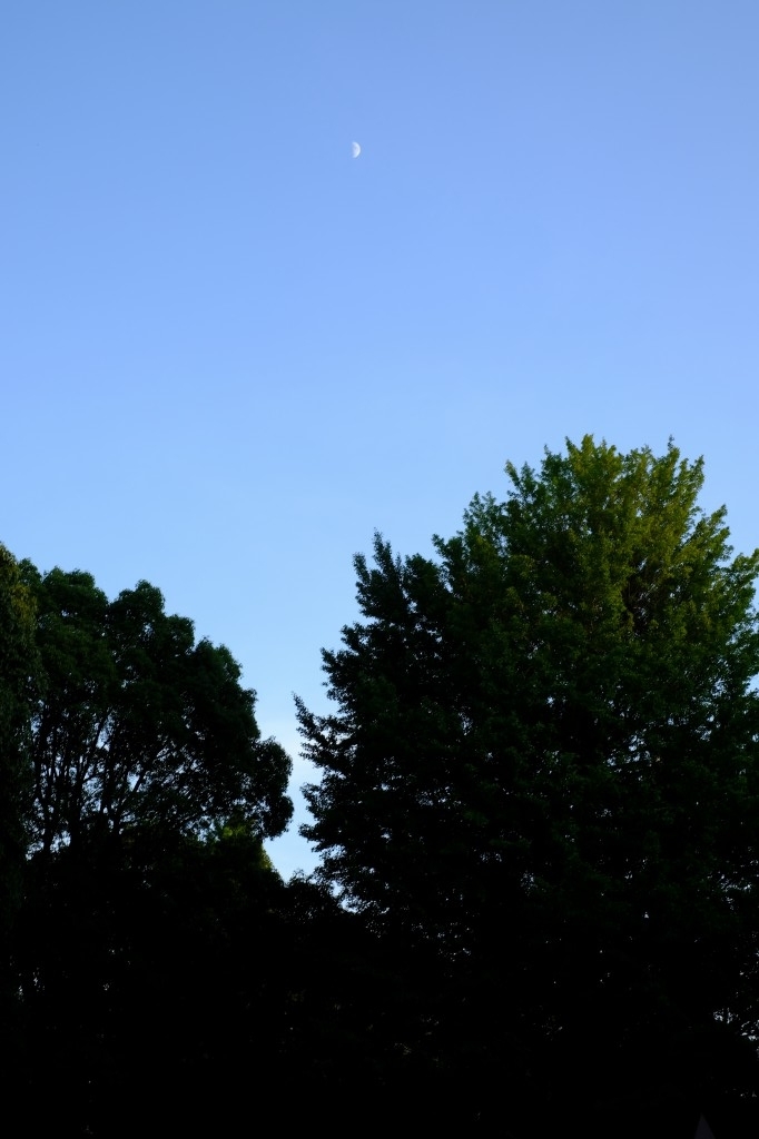 f:id:ham29:20170910033332j:plain