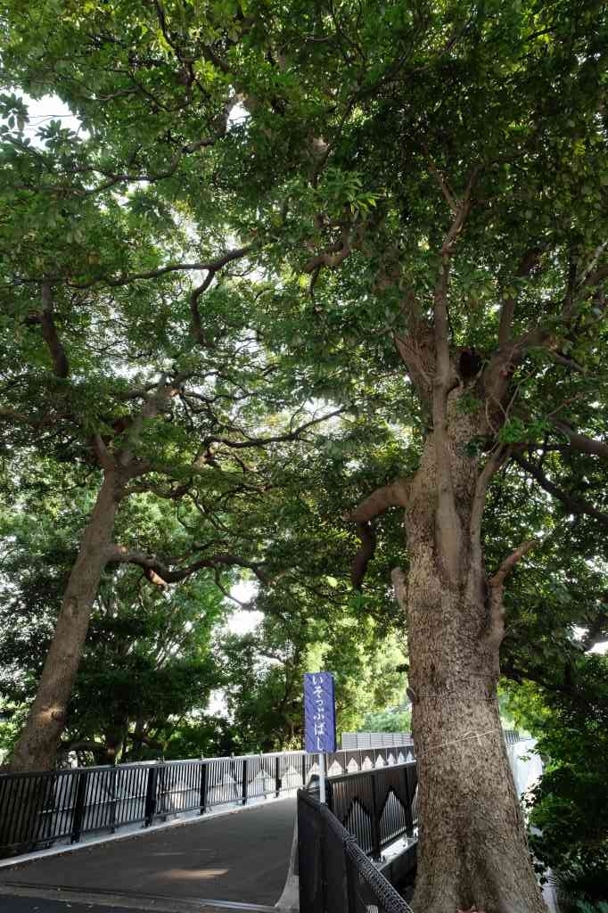 f:id:ham29:20170910154333j:plain