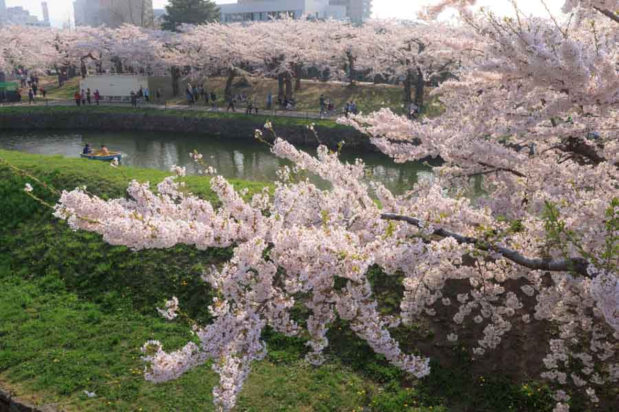 f:id:ham29:20180507035238j:plain f:id:ham29:20180507035238j:plain