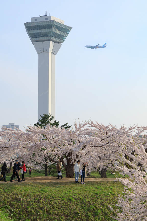 f:id:ham29:20180507035304j:plain f:id:ham29:20180507035304j:plain