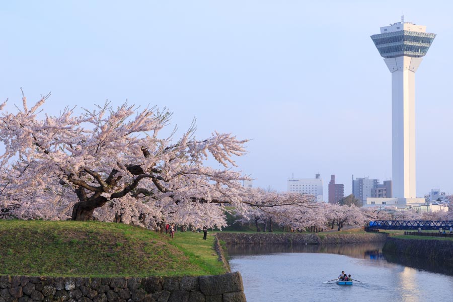 f:id:ham29:20180507035343j:plain f:id:ham29:20180507035343j:plain