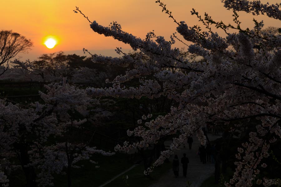 f:id:ham29:20180507035346j:plain f:id:ham29:20180507035346j:plain