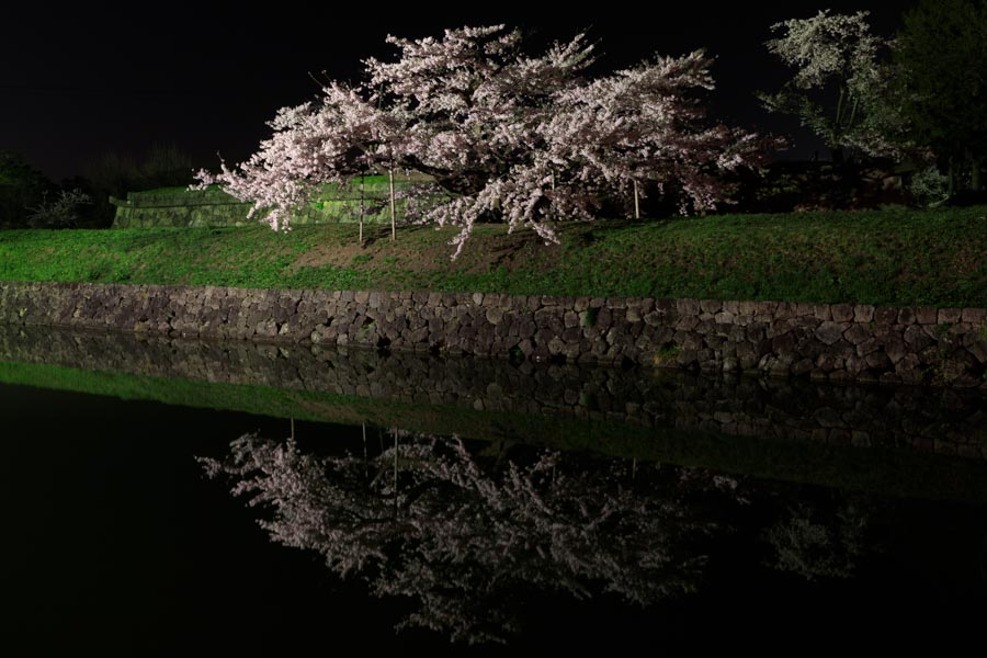 f:id:ham29:20180507035359j:plain f:id:ham29:20180507035359j:plain