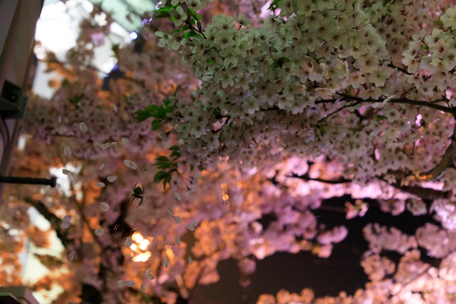 f:id:ham29:20180507035421j:plain f:id:ham29:20180507035421j:plain