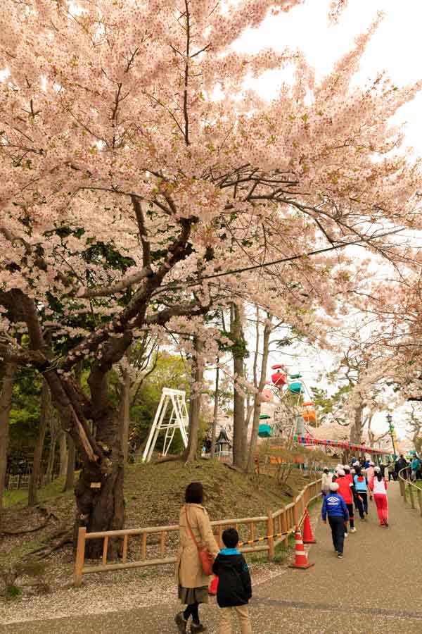 f:id:ham29:20180510182142j:plain f:id:ham29:20180510182142j:plain