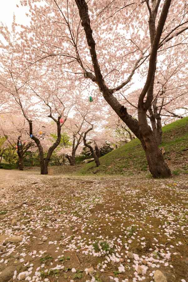 f:id:ham29:20180510182224j:plain f:id:ham29:20180510182224j:plain