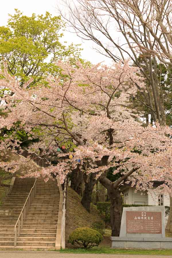 f:id:ham29:20180510182304j:plain f:id:ham29:20180510182304j:plain