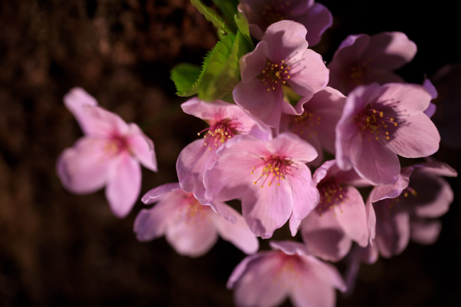 f:id:ham29:20180515174141j:plain f:id:ham29:20180515174141j:plain